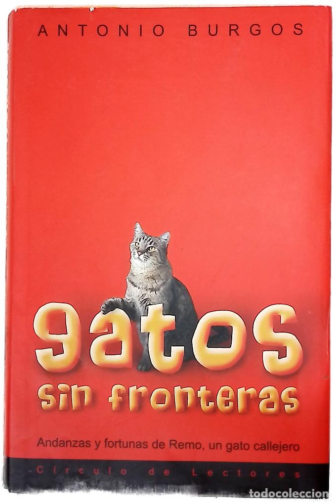 Libros: Gatos sin fronteras andanzas y fortunas de Remo, un gato callejero