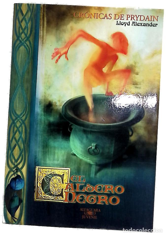 Libros: El caldero negro - Alexander, Lloyd - Foto 1