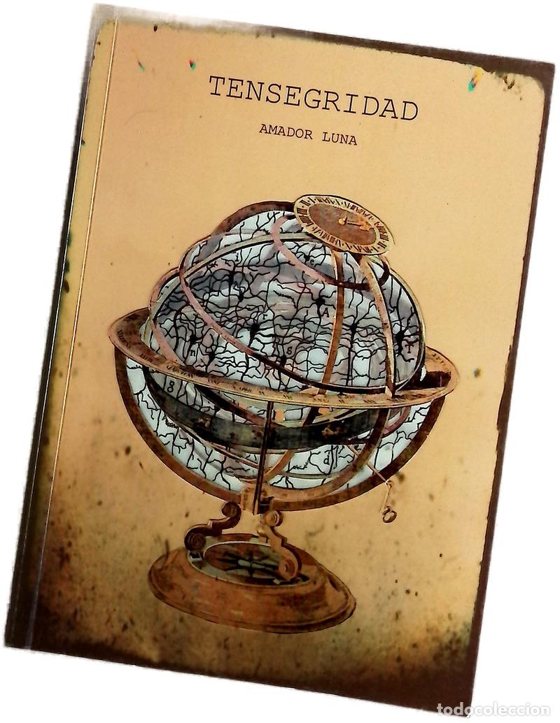 Libros: Tensegridad - Amador Luna, Francisco
