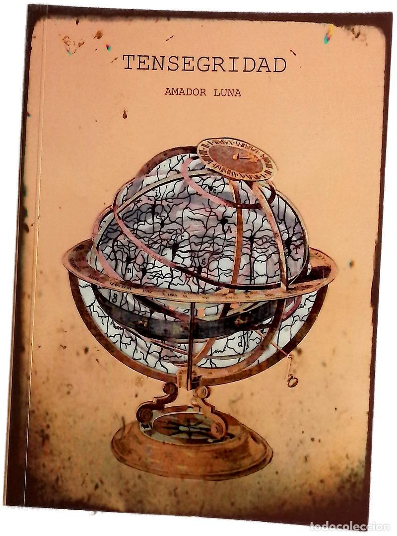 Libros: Tensegridad - Amador Luna, Francisco