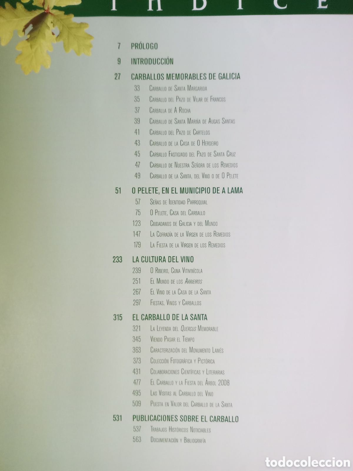 Libros: El carballo monumental de O pellete - Foto 3