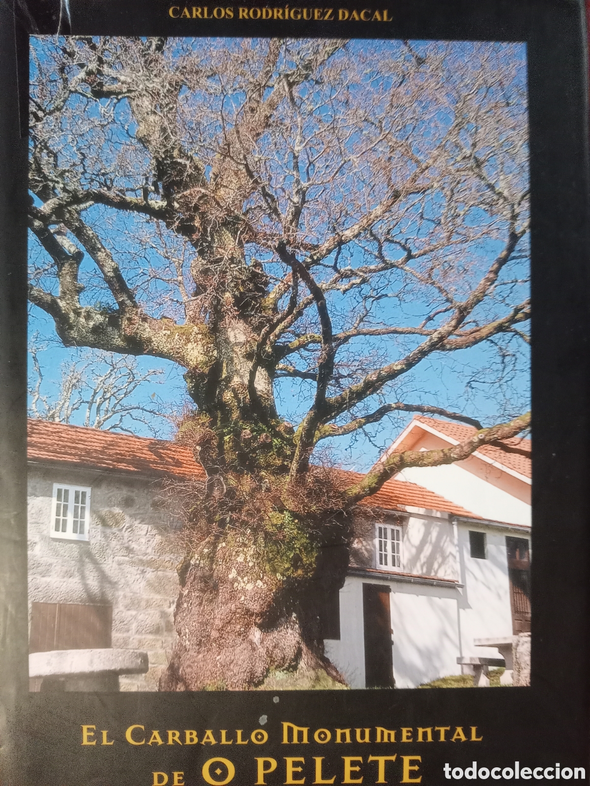 Libros: El carballo monumental de O pellete