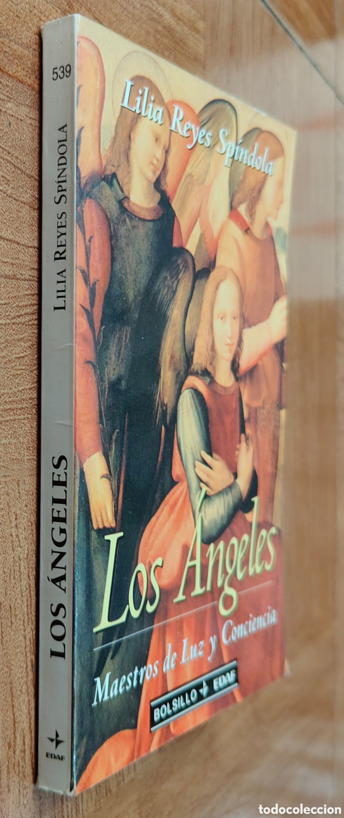 Libros: Los &Aacute;ngeles: Maestros de Luz y Conciencia - Lilia Reyes Sp&iacute;ndola