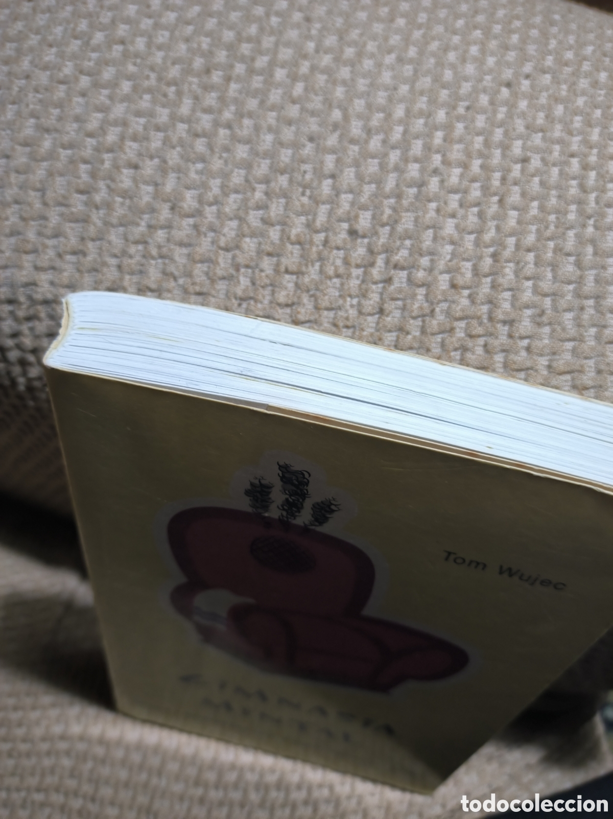 Libros: Gimnasia Mental . Autor Tom Wujec - Foto 5