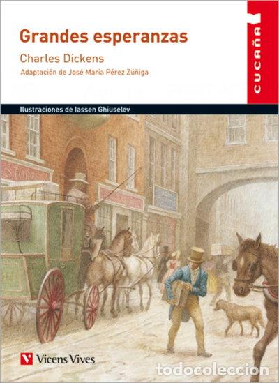 books: Grandes esperanzas- 9788468202457