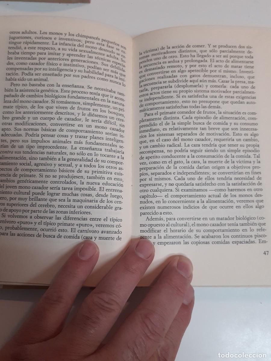 Libros: El mono desnudo. Desmond Morris. - Foto 5