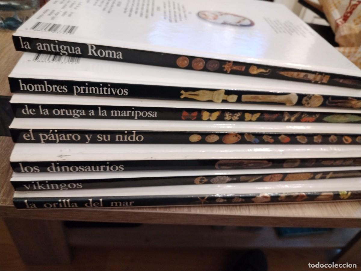Libros: Biblioteca visual altea- vikingos, dinosaurios, hombres primitivos, el p&aacute;jaro y su nido, la orilla