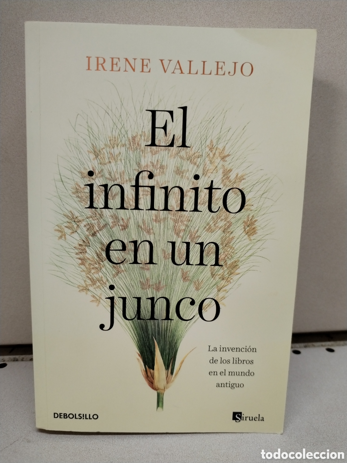 books: El infinito en un junco: La invenci&oacute;n de los libros en el mundo antiguo - Vallejo, Irene