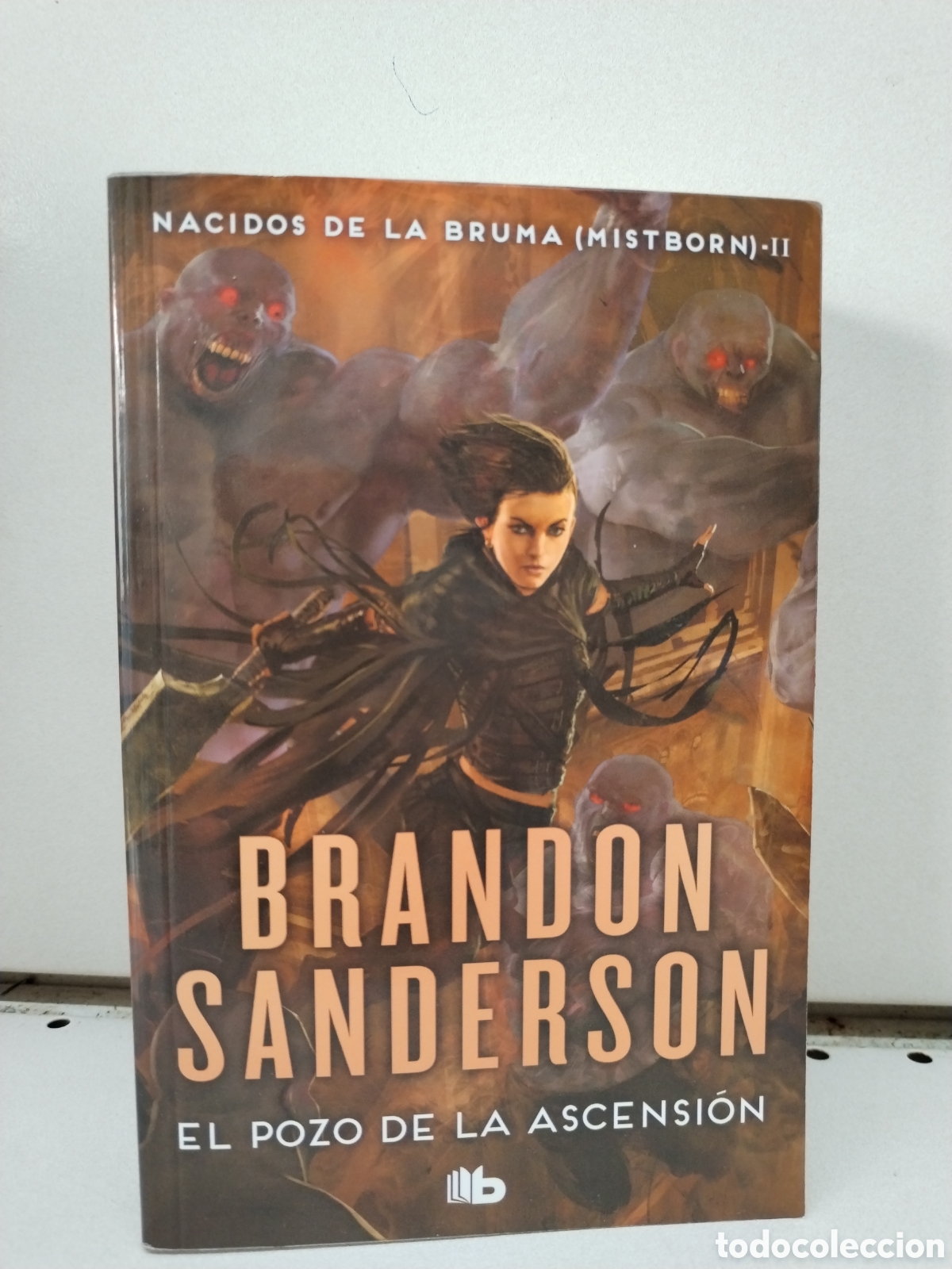 books: El Pozo de la Ascensi&oacute;n (Nacidos de la bruma [Mistborn] 2) - Sanderson, Brandon