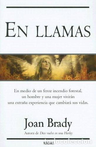 Libros: EN LLAMAS: 00000 (VERGARA MILLENIUM)