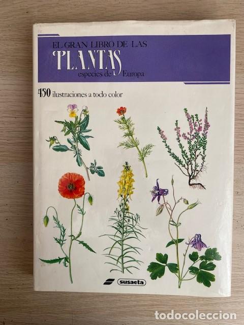 Libros: EL GRAN LIBRO DE LAS PLANTAS ESPECIES DE EUROPA - Foto 1