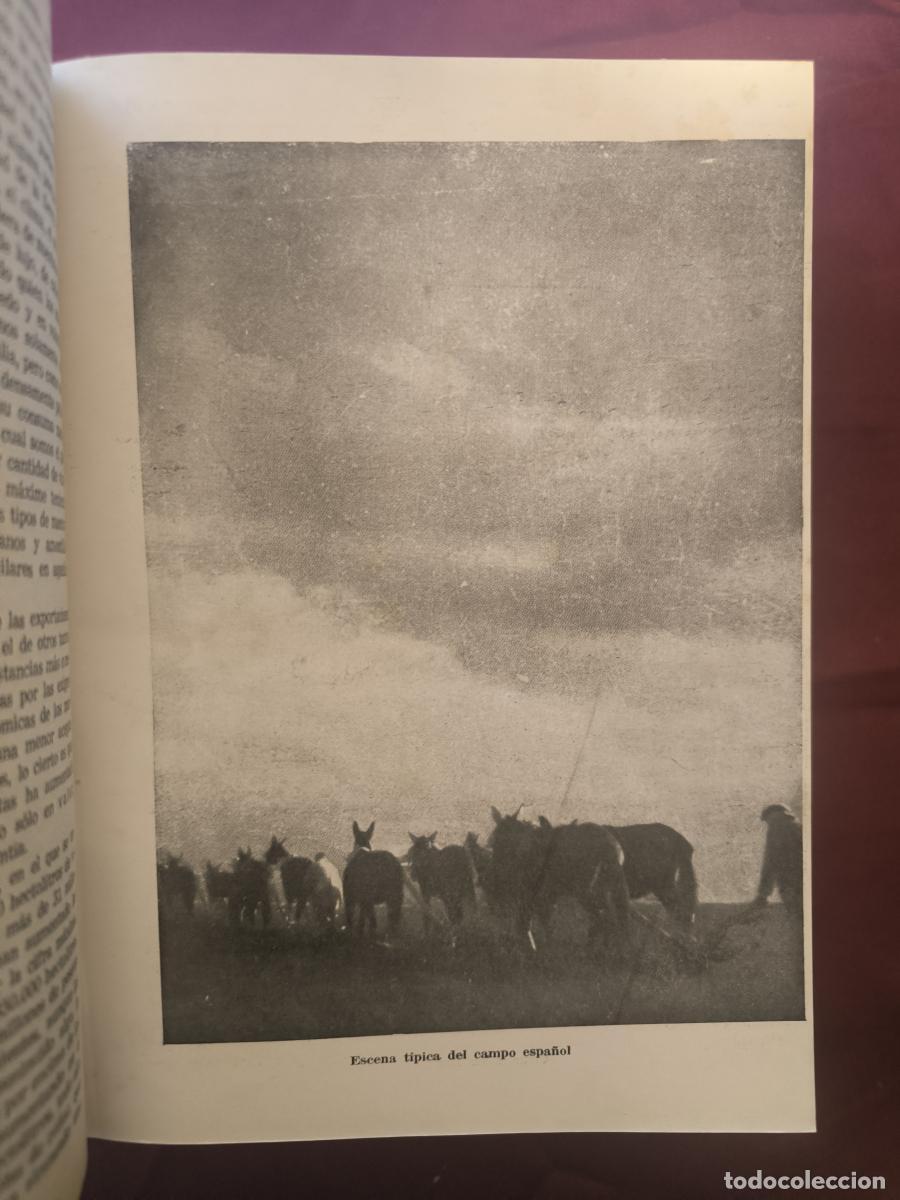 Libros: Tema espa&ntilde;oles 123 n&uacute;meros - vv.aa. - Foto 3