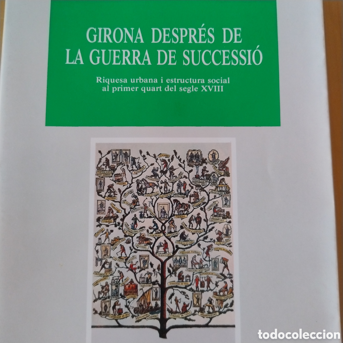 Libros: Girona despres de la guerra de successio