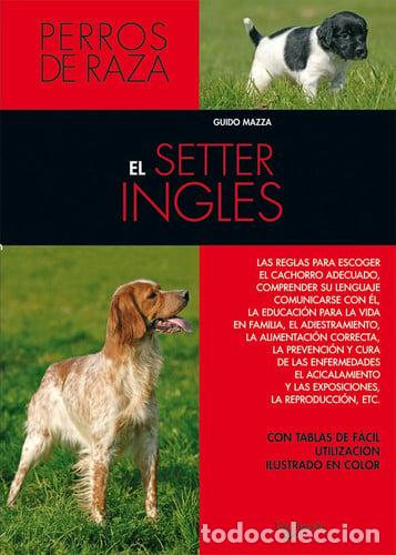 Livres: El setter ingl&eacute;s - Guido Mazza