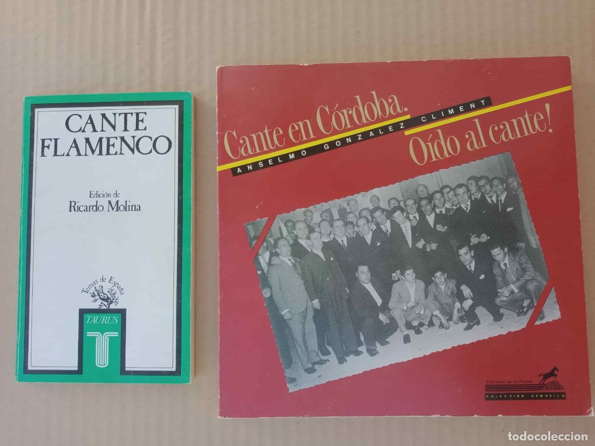 Libros: CANTE FLAMENCO - 2 LIBROS