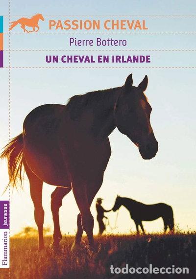Libri di seconda mano: Un cheval en Irlande- 9782081287259