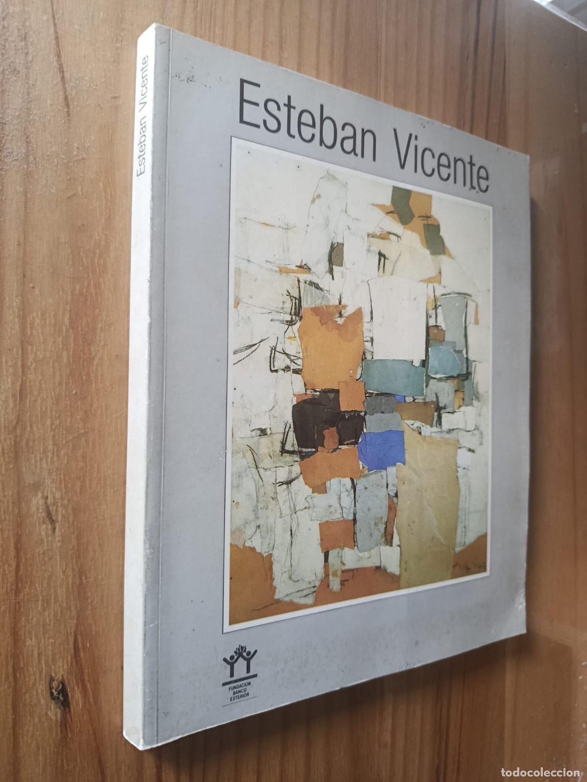 Libri di seconda mano: ESTEBAN VICENTE. CAT&Aacute;LOGO, FUNDACI&Oacute;N BANCO EXTERIOR, 1987