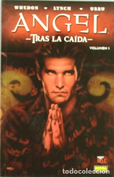 Livres: Angel. Tras la ca&iacute;da 1- 9788498477351