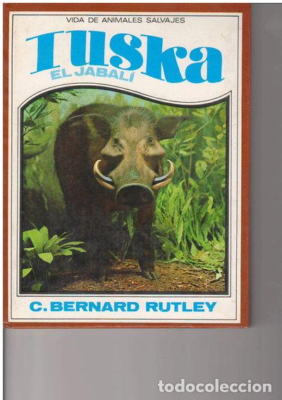 Livros em segunda m&atilde;o: Tuska, el jabal&iacute;- 9788427235717