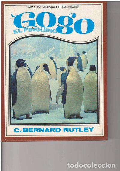 Libros: Gogo el Ping&uuml;ino- 9788427235687 - Foto 1