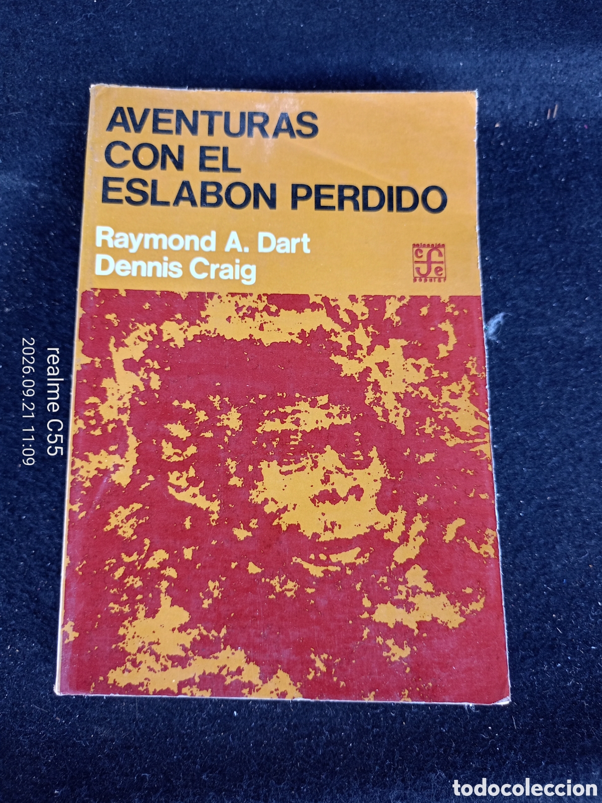 Libri di seconda mano: AVENTURAS CON EL ESLABON PERDIDO. Raymond A. Dart y Dennis Craig
