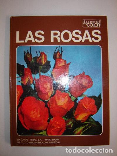 Libri di seconda mano: Las Rosas- 9788430782819