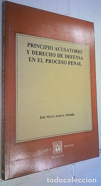 Libros: Principio acusatorio y derecho de defensa en el proceso penal- 9788478559282