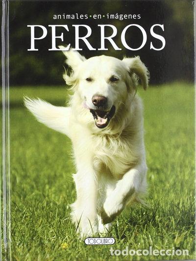 books: Perros- 9788499135342