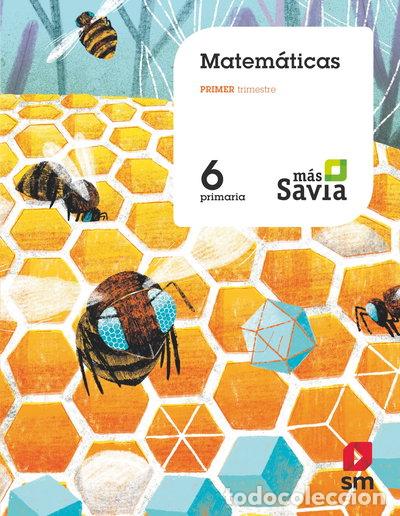 books: Matem&aacute;ticas. 6 Primaria. M&aacute;s Savia- 9788491822837