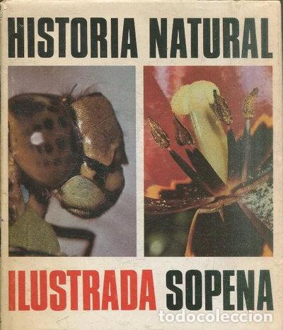 books: Historia Natural Ilustrada- 9788430302468