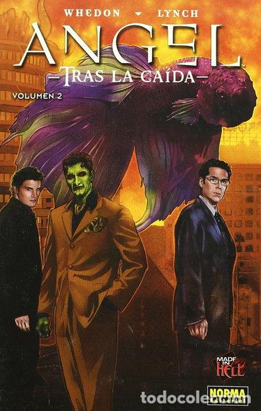 Libros: Angel. Tras la ca&iacute;da 2- 9788498470444