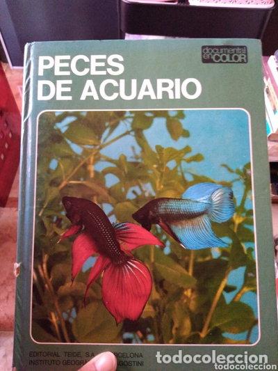 Libros: Peces de acuario- 9788430782840 - Foto 1