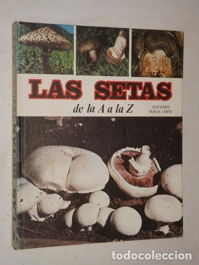 Libri di seconda mano: Las Setas De La A A La Z- 9788485246311