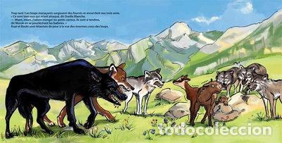 books: Rupi et Bouki, les petits cornus des Alpes: Une surprenante amiti&eacute;- 9782917173213