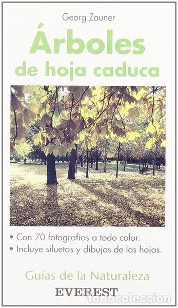 books: &Aacute;rboles de hoja caduca- 9788424126391