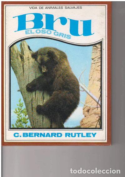 books: Bru, el oso gris- 9788427235618