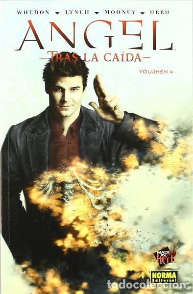 books: Angel. Tras la ca&iacute;da 4- 9788467901665