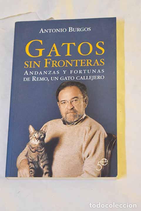 Libros: Gatos sin fronteras : andanza y fortunas de Remo, un gato callejero.- Burgos, Antonio