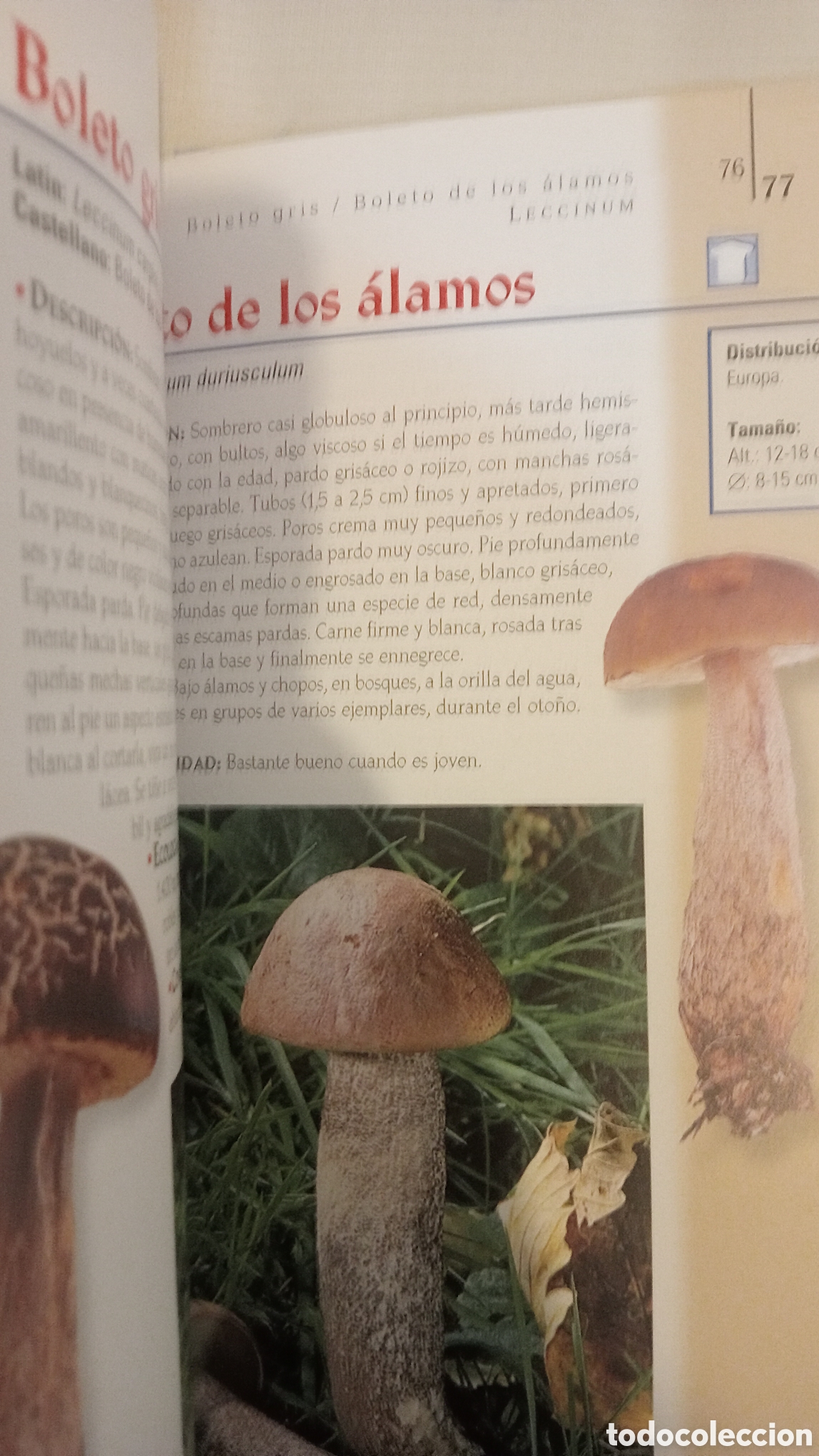 Libros: Boletos y Cantarelas. - Foto 4