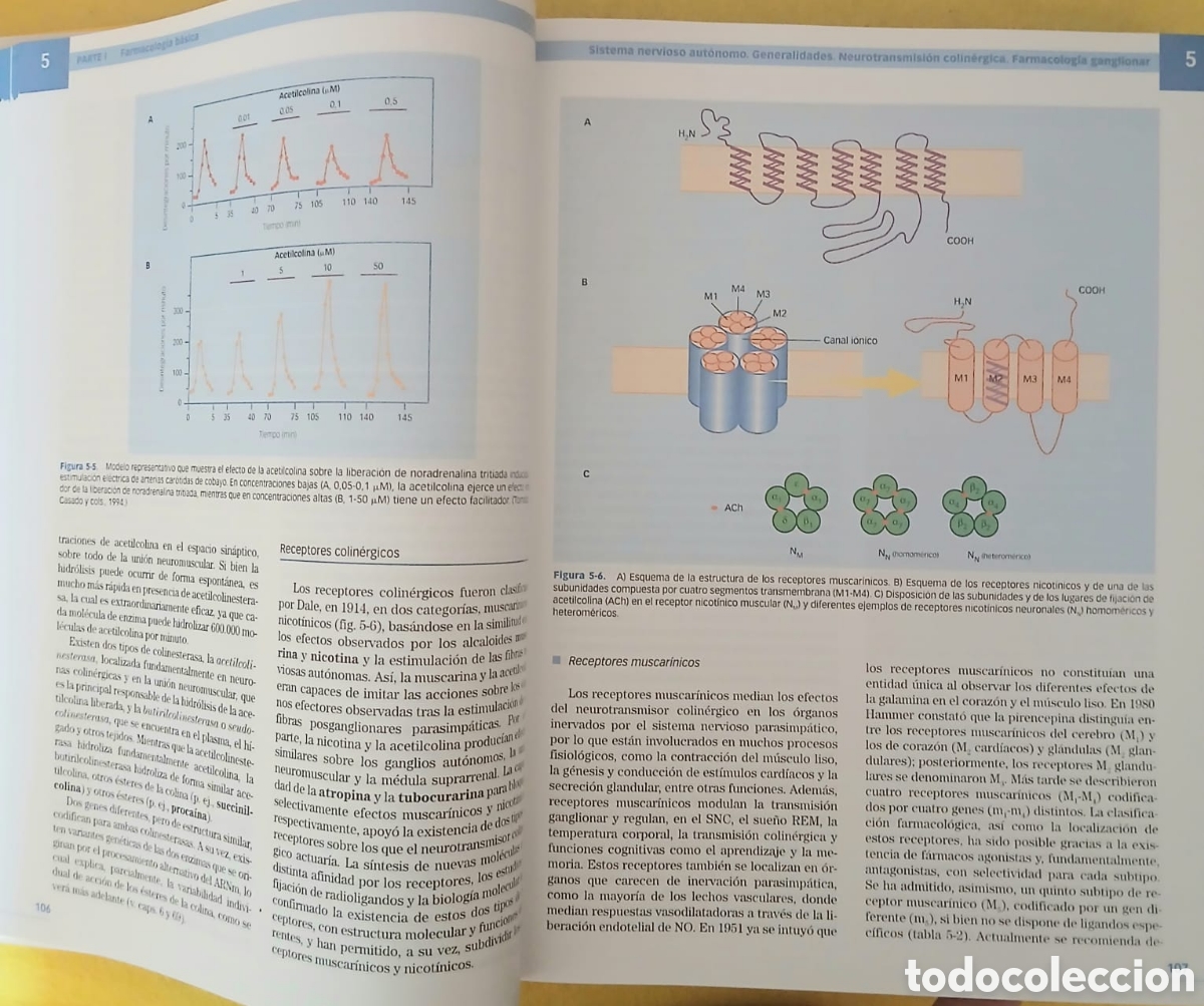 Libros: Farmacolog&iacute;a B&aacute;sica y Cl&iacute;nica - Foto 6