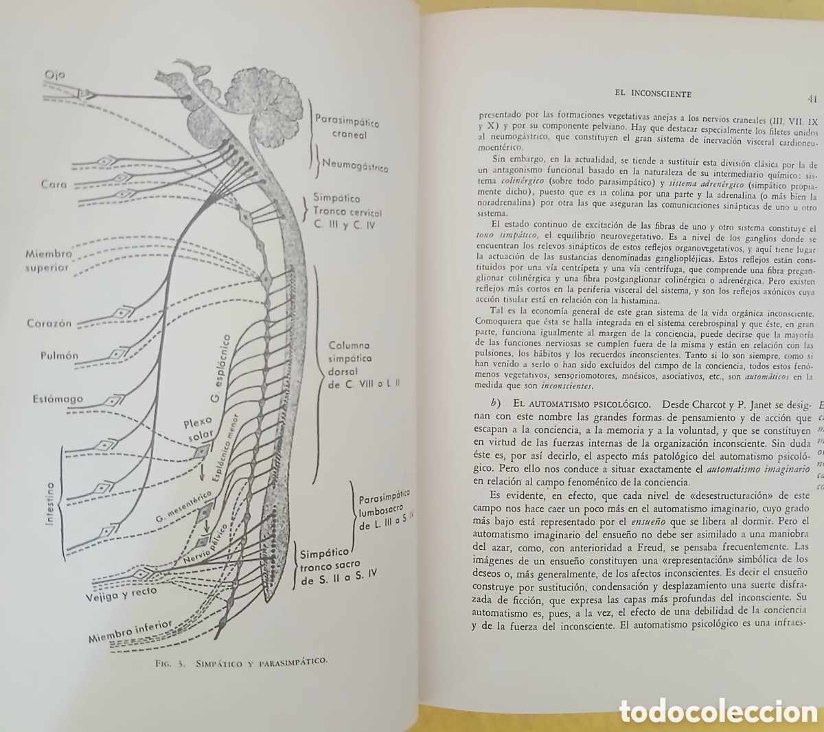Libros: tratado de psiquiatr&iacute;a - Foto 11