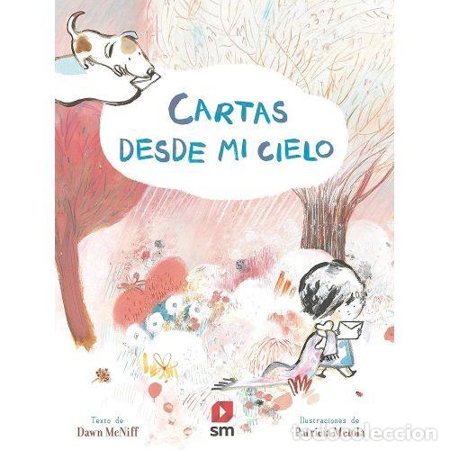 Libros: CARTAS DESDE MI CIELO - MCNIFF, DAWN - Foto 1