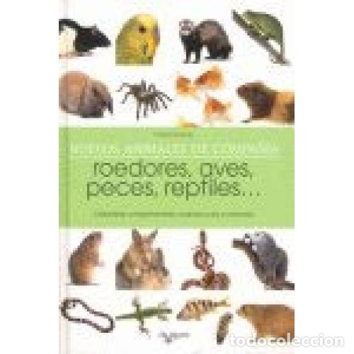 Libros: NUEVOS ANIMALES DE COMPA&Ntilde;&Iacute;A - DESACHY, FLORENCE - Foto 1