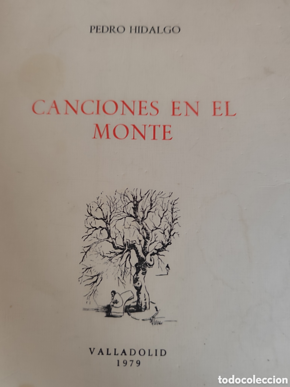 books: CANCIONES EN EL MONTE - PEDRO HIDALGO RF652