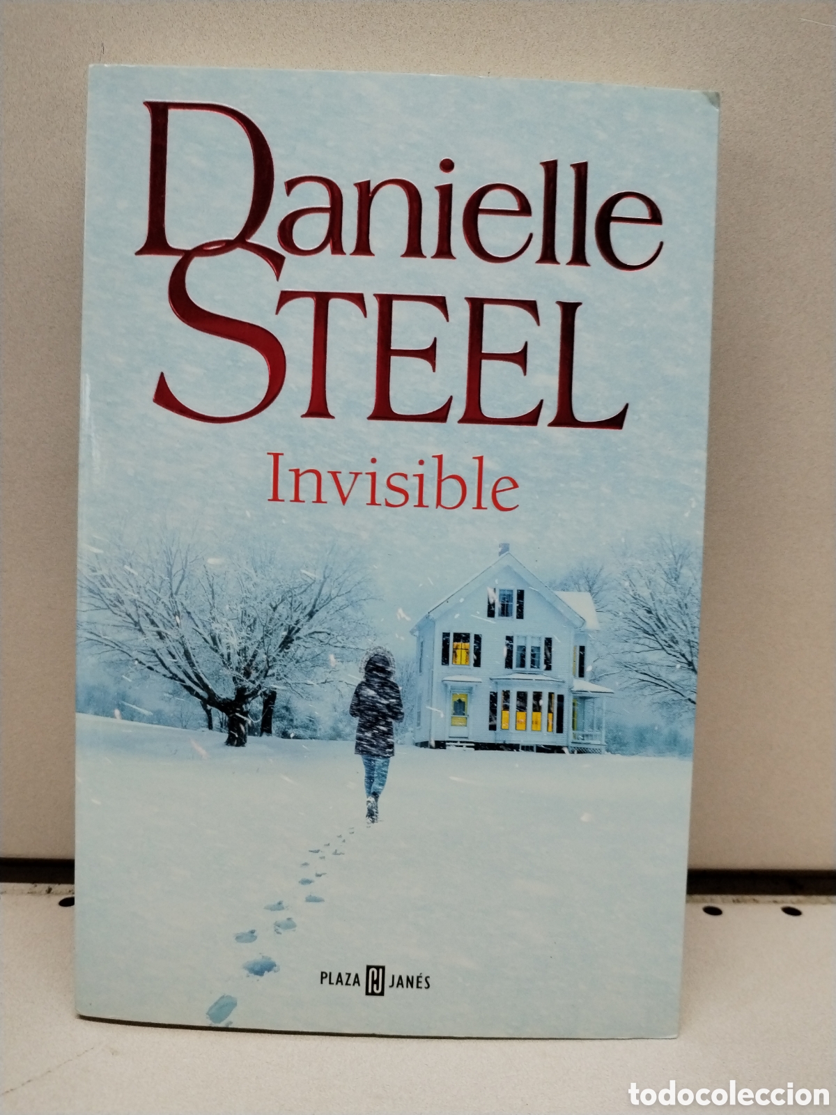 Invisible - Steel, Danielle