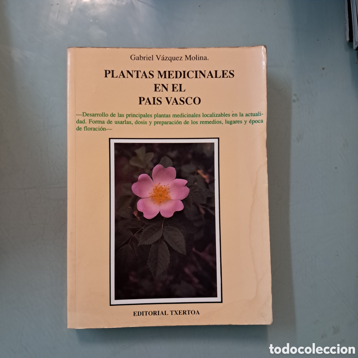 Libros: Gabriel V&aacute;zquez Molino, Plantas medicinales en el Pa&iacute;s Vasco, Txertoa