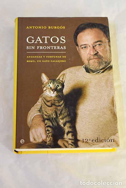Libri di seconda mano: Gatos sin fronteras : andanzas y fortunas de Remo, un gato callejero.- Burgos, Antonio