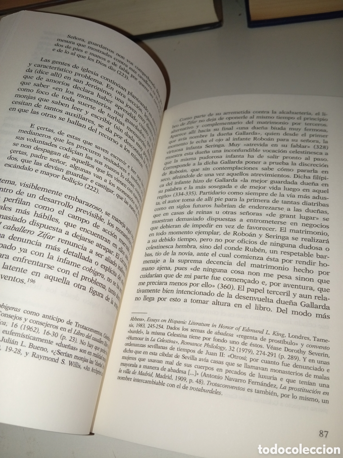 Libros: Or&iacute;genes y sociolog&iacute;a del tema celestinesco - Foto 5