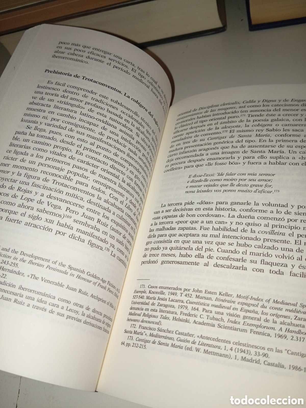 Libros: Or&iacute;genes y sociolog&iacute;a del tema celestinesco - Foto 6