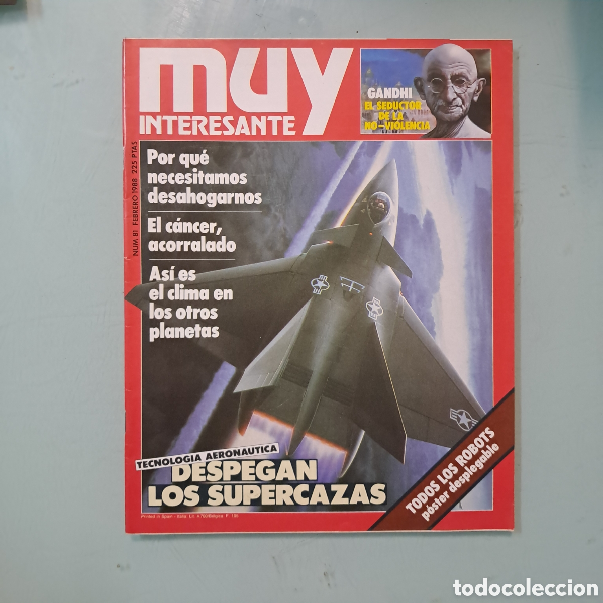 Libros: Muy interesante, n&uacute;mero 81
